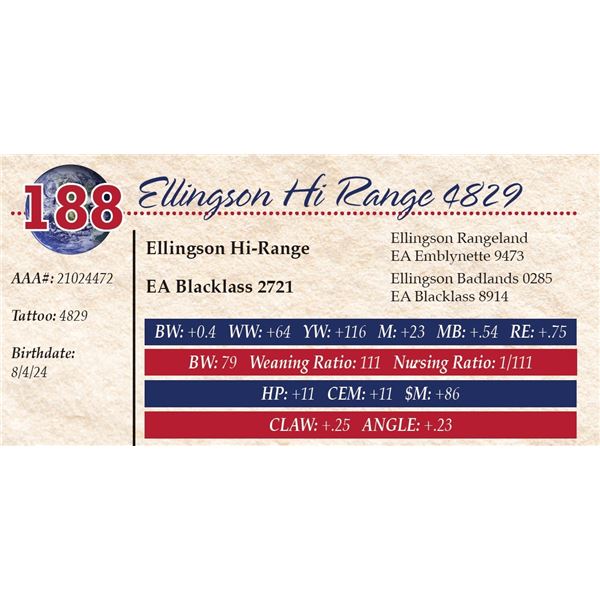 Ellingson Hi Range 4829