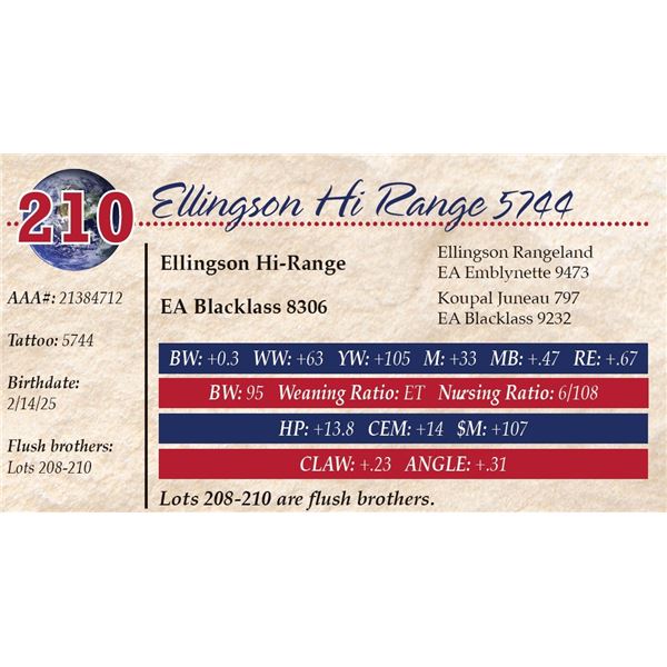 Ellingson Hi Range 5744