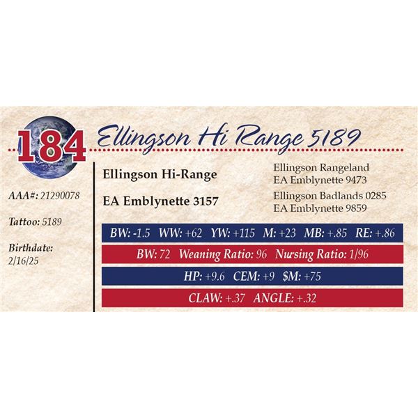 Ellingson Hi Range 5189