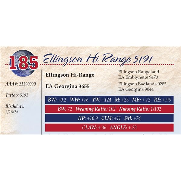 Ellingson Hi Range 5191