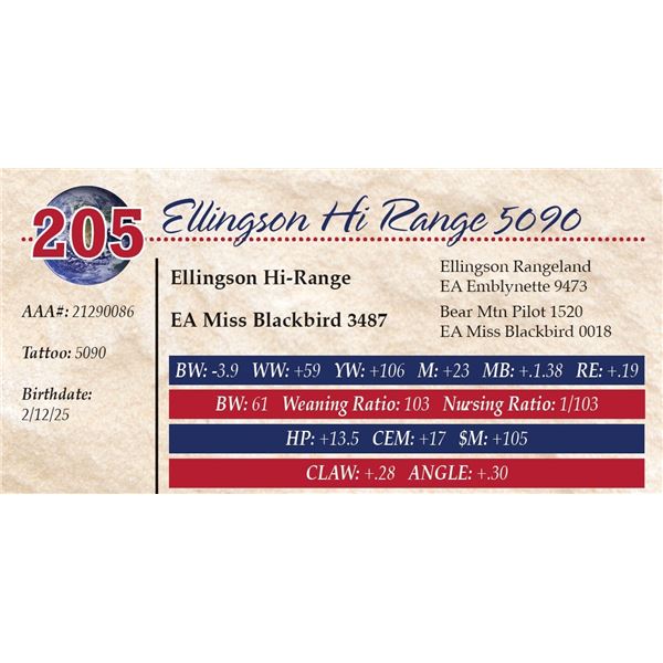 Ellingson Hi Range 5090