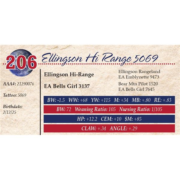 Ellingson Hi Range 5069