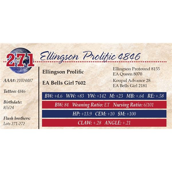 Ellingson Prolific 4846