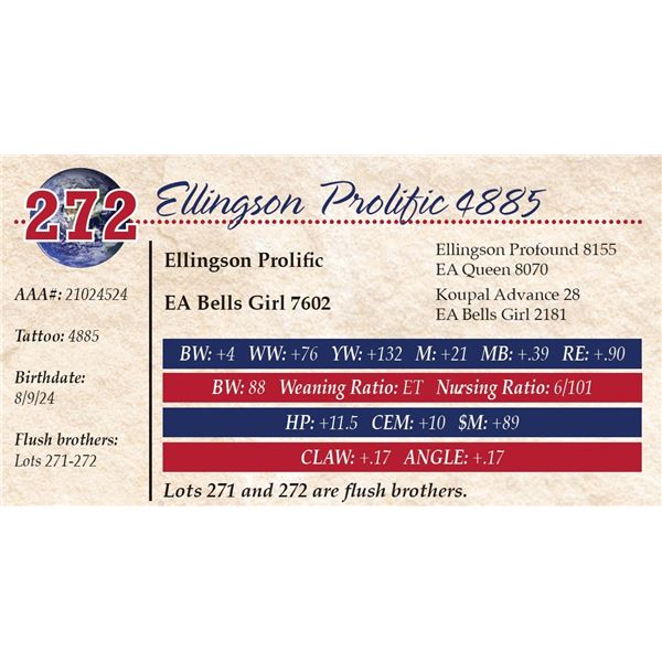 Ellingson Prolific 4885