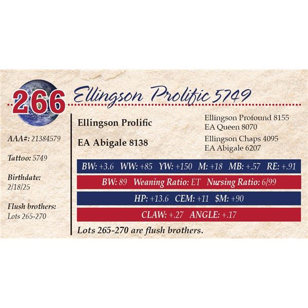 Ellingson Prolific 5749