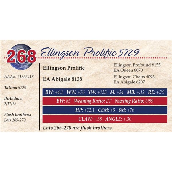 Ellingson Prolific 5729