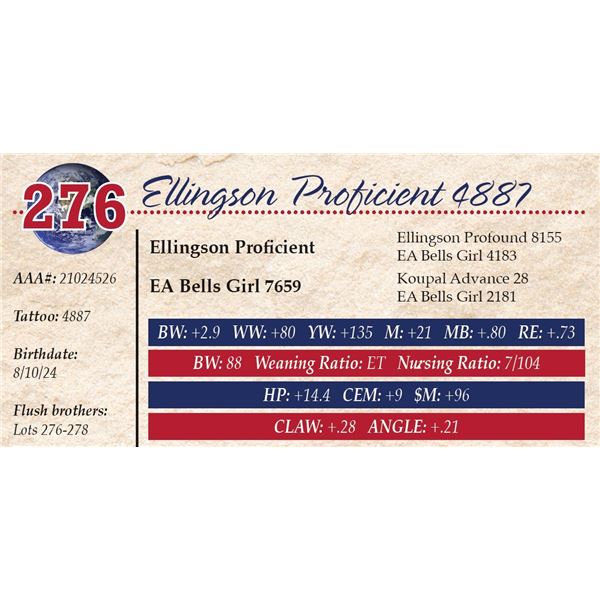 Ellingson Proficient 4887