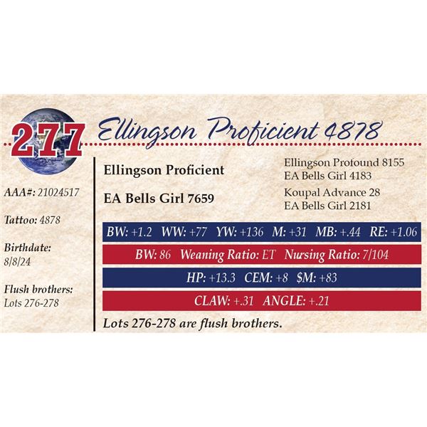 Ellingson Proficient 4878