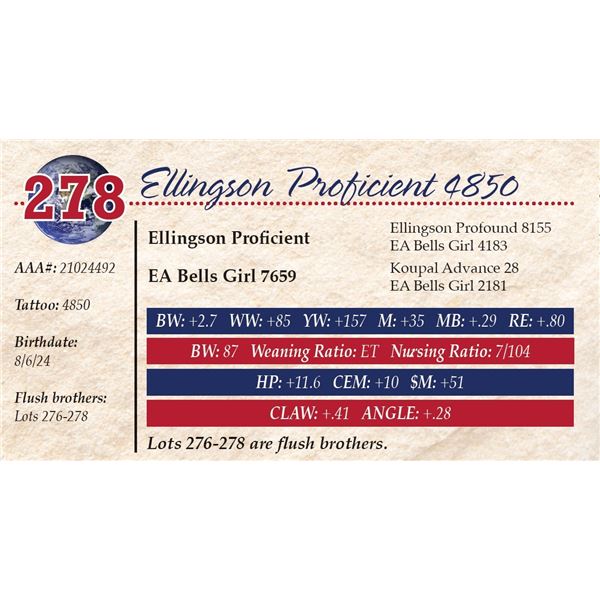 Ellingson Proficient 4850