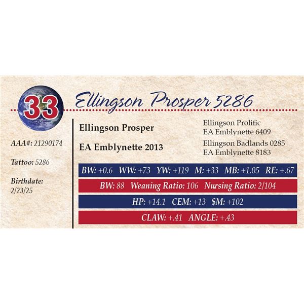 Ellingson Prosper 5286