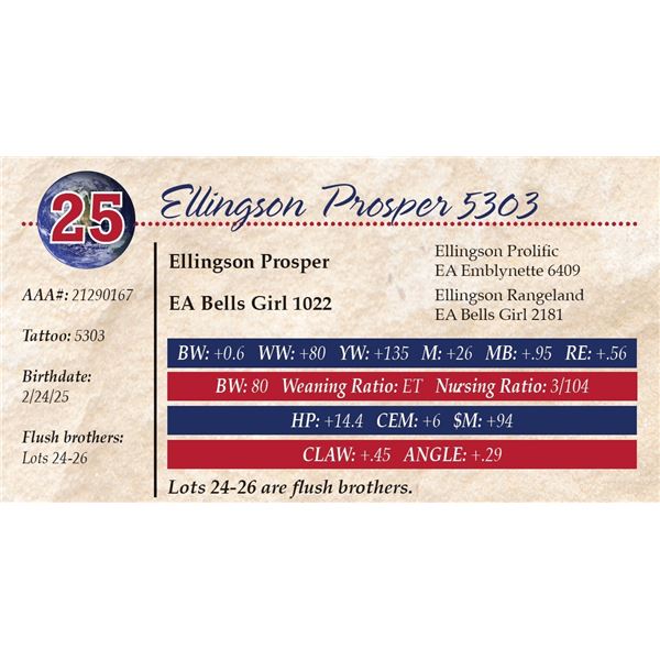 Ellingson Prosper 5303