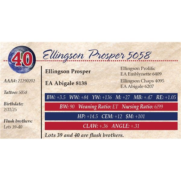 Ellingson Prosper 5058