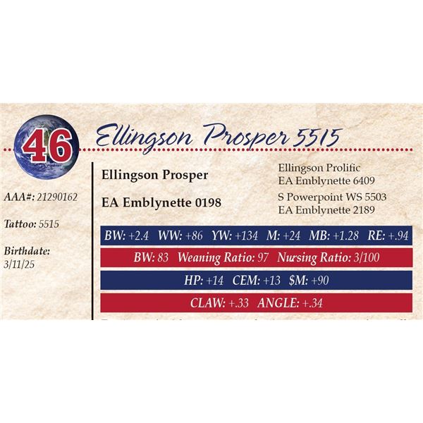 Ellingson Prosper 5515