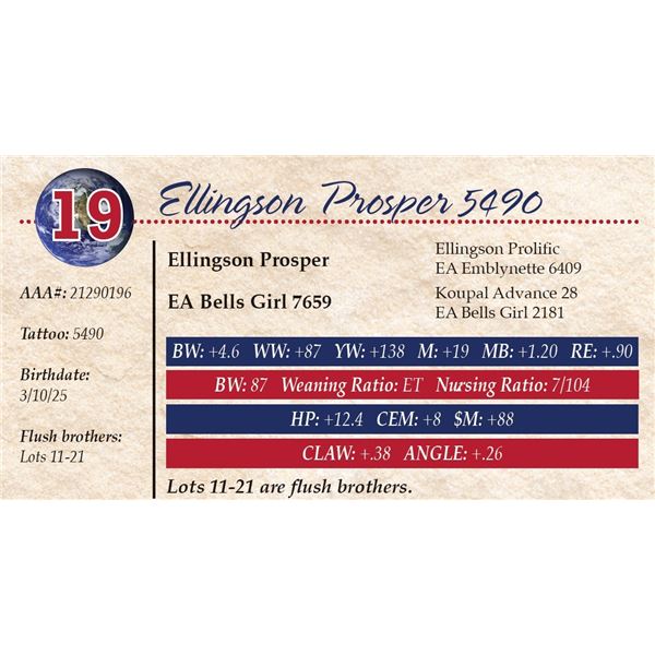 Ellingson Prosper 5490