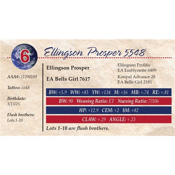 Ellingson Prosper 5548