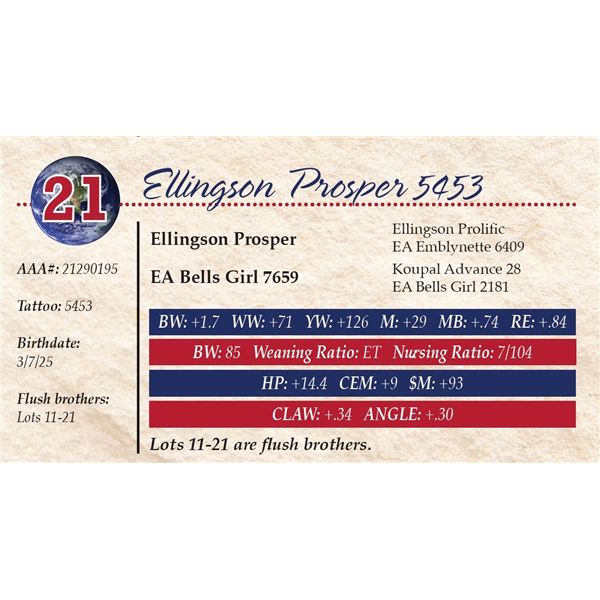 Ellingson Prosper 5453