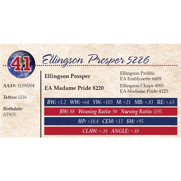 Ellingson Prosper 5226