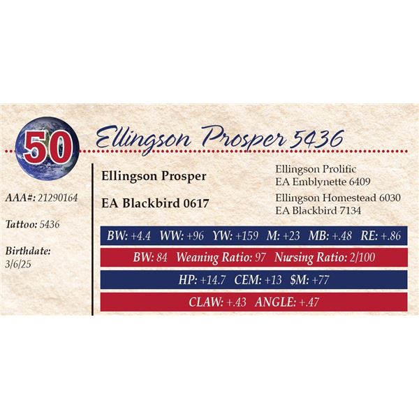 Ellingson Prosper 5436