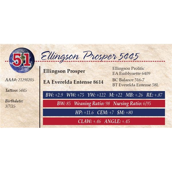 Ellingson Prosper 5445