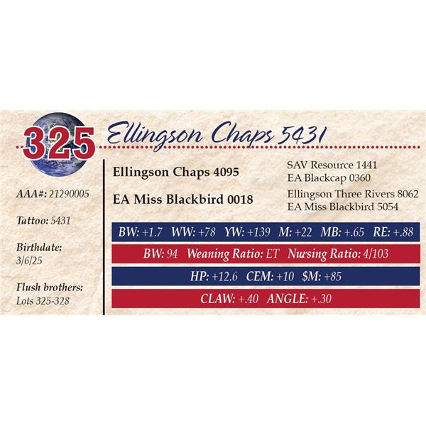 Ellingson Chaps 5431