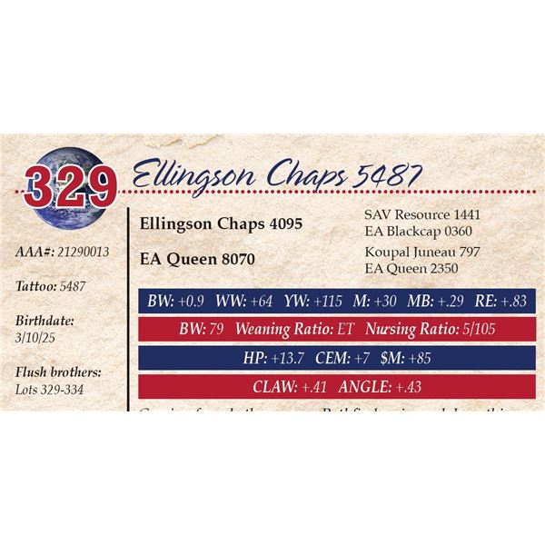 Ellingson Chaps 5487