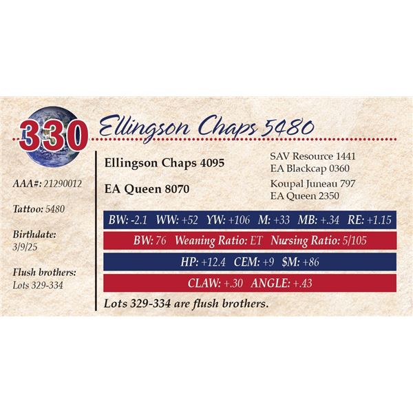 Ellingson Chaps 5480