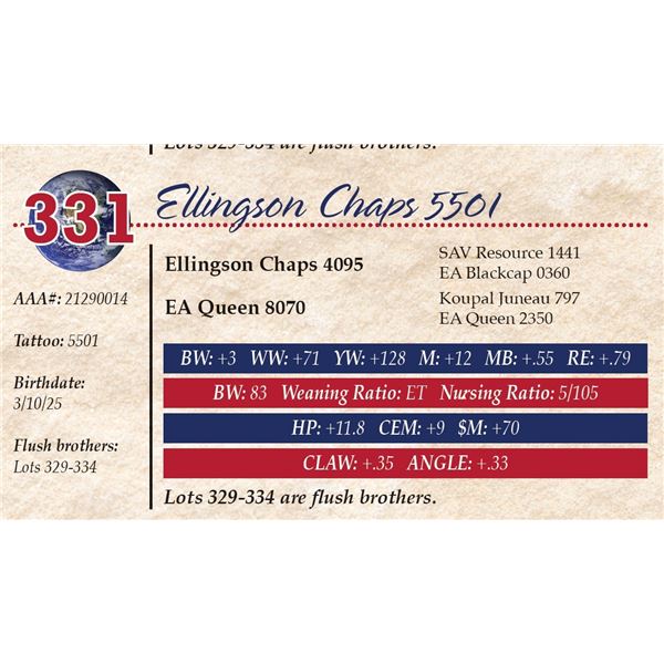 Ellingson Chaps 5501