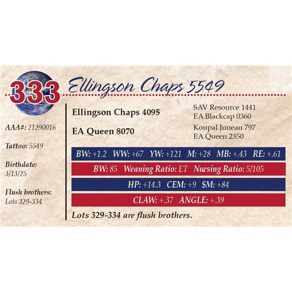 Ellingson Chaps 5549