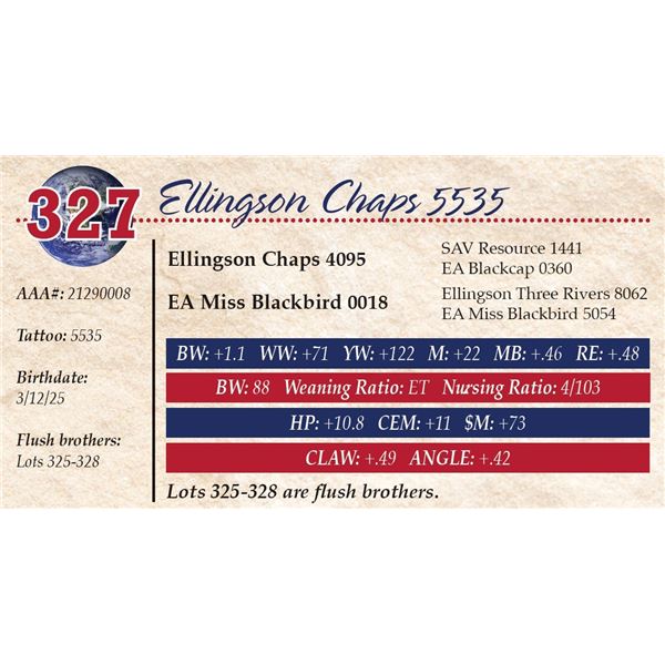 Ellingson Chaps 5535