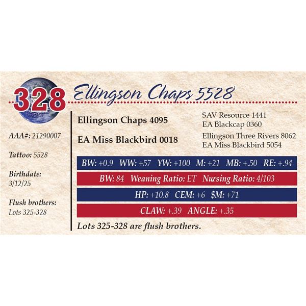 Ellingson Chaps 5528