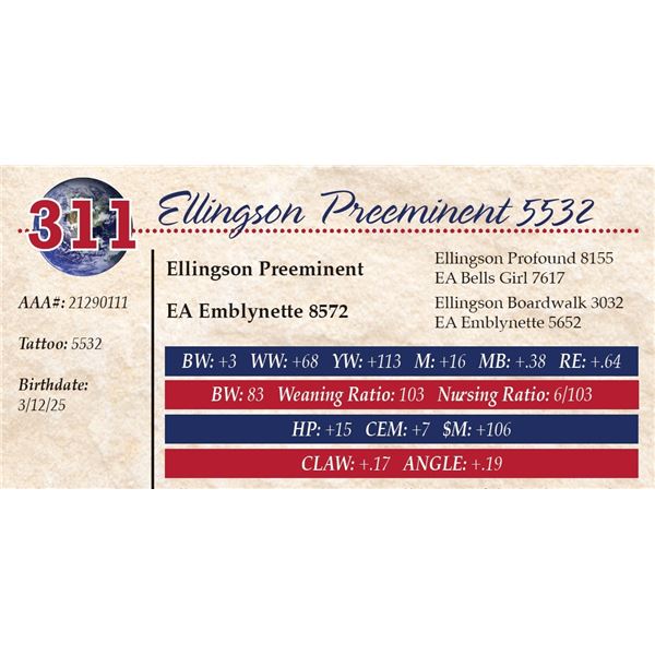 Ellingson Preeminent 5532