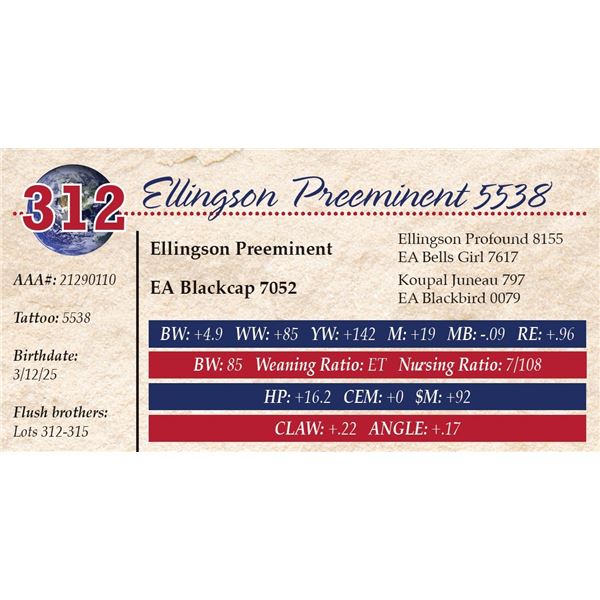 Ellingson Preeminent 5538