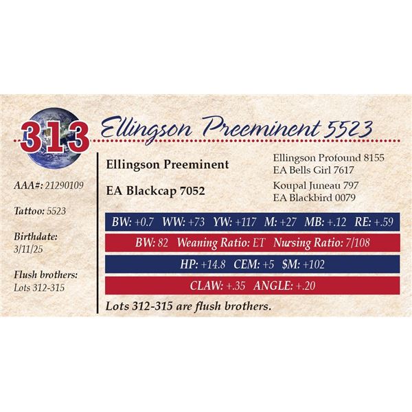 Ellingson Preeminent 5523