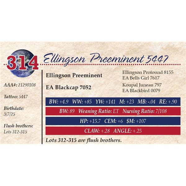 Ellingson Preeminent 5447