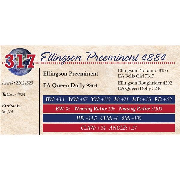Ellingson Preeminent 4884