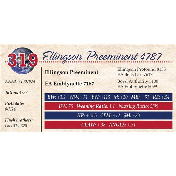 Ellingson Preeminent 4787