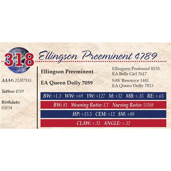 Ellingson Preeminent 4789