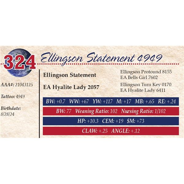 Ellingson Statement 4949