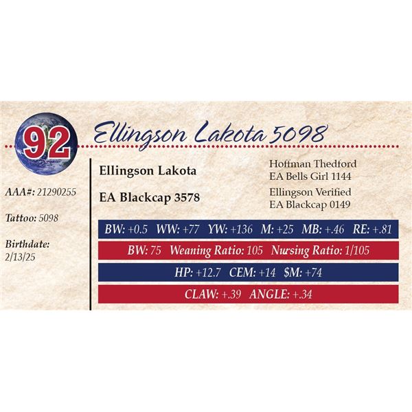 Ellingson Lakota 5098