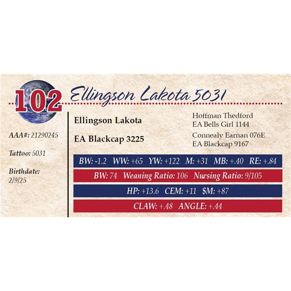 Ellingson Lakota 5031