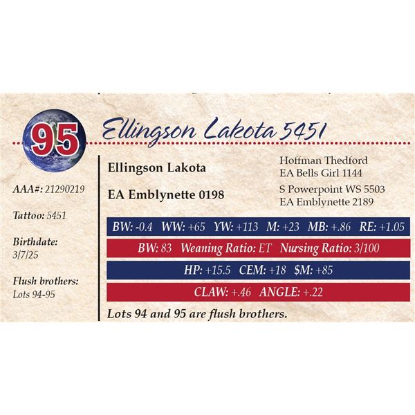 Ellingson Lakota 5451