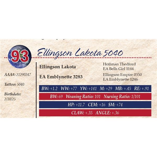 Ellingson Lakota 5040