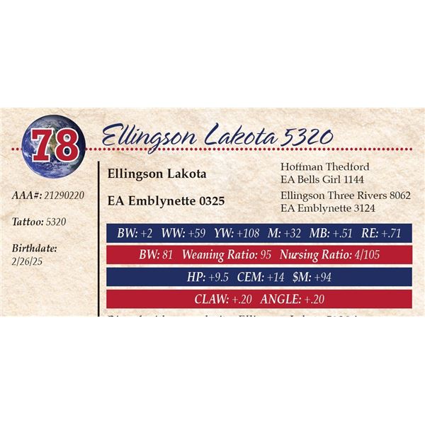 Ellingson Lakota 5320