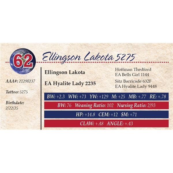 Ellingson Lakota 5275