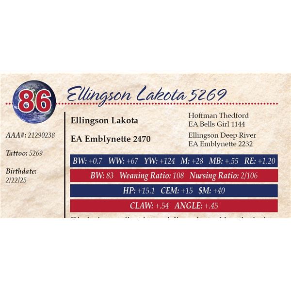 Ellingson Lakota 5269