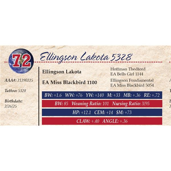 Ellingson Lakota 5328