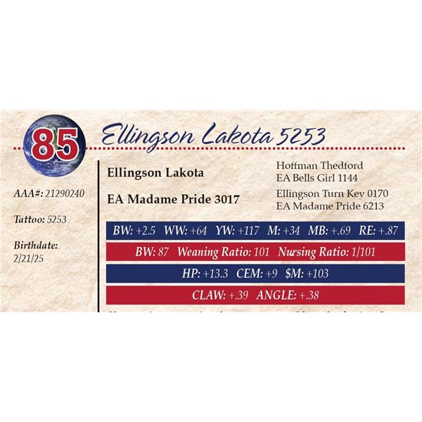 Ellingson Lakota 5253