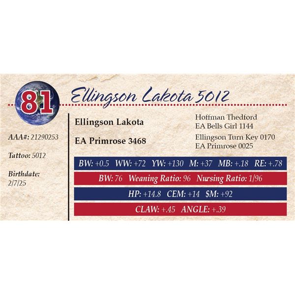 Ellingson Lakota 5012