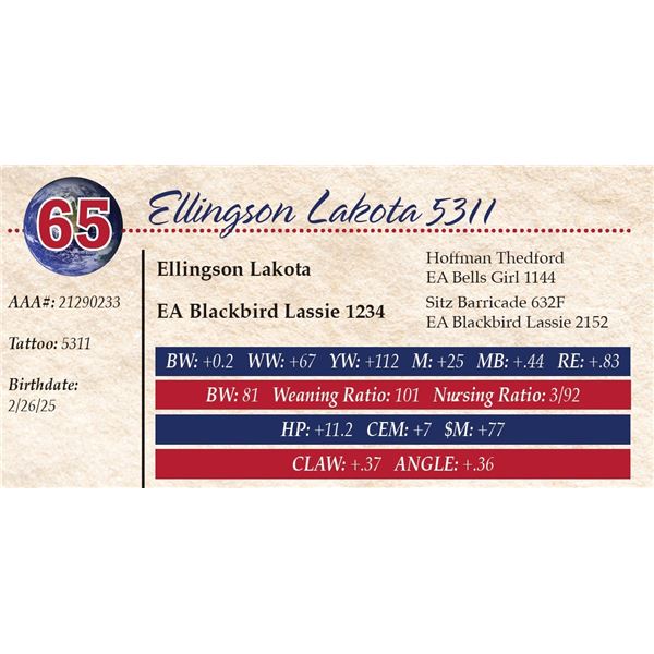 Ellingson Lakota 5311