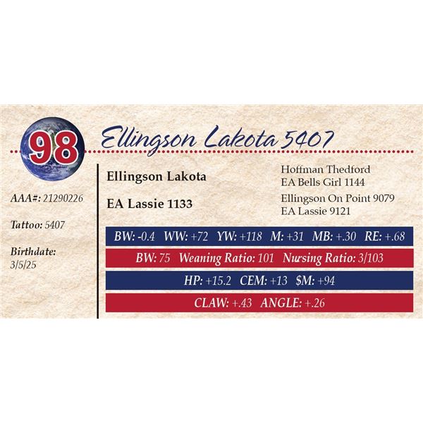 Ellingson Lakota 5407